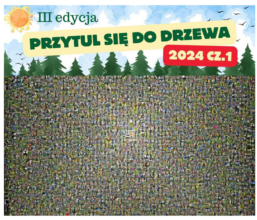 Eko kolaż Przytul się do drzewa 2024